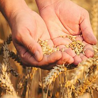 Supporting WA Farmers